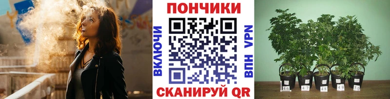 Купить наркотик Стародуб Альфа ПВП  Псилоцибиновые грибы  МЕФ  Марихуана  ГАШИШ  Cocaine 