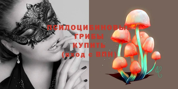 твердый Балахна