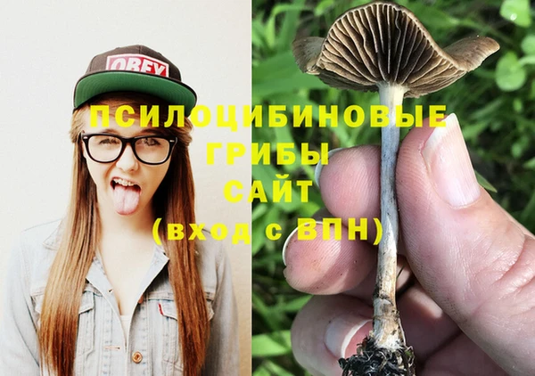 твердый Балахна