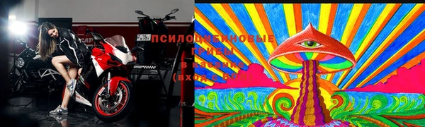 apvp Баксан